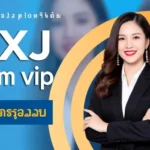 pxj com vip bet